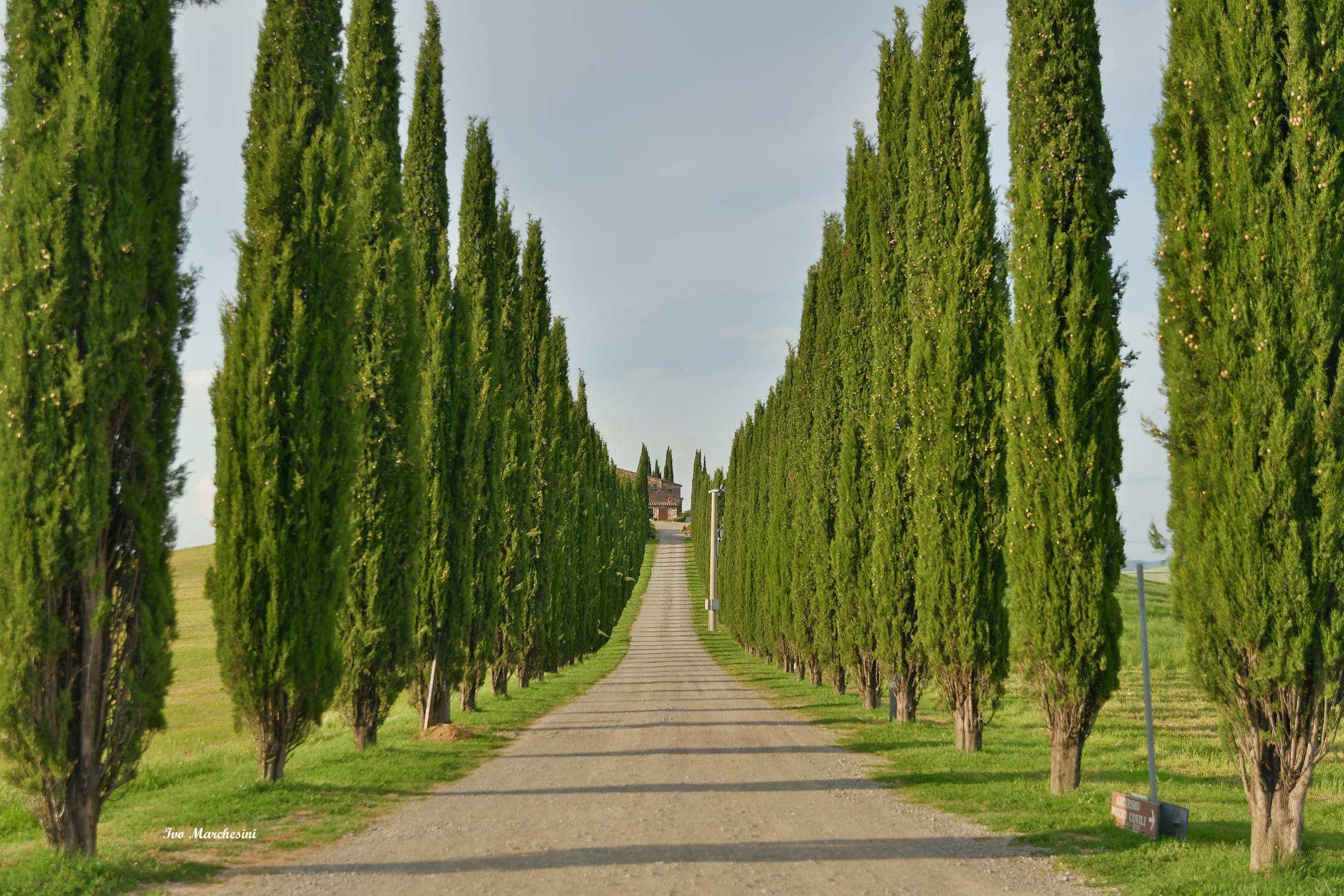 Val d'Orcia__Poggio Covili....Castiglione d'Orcia