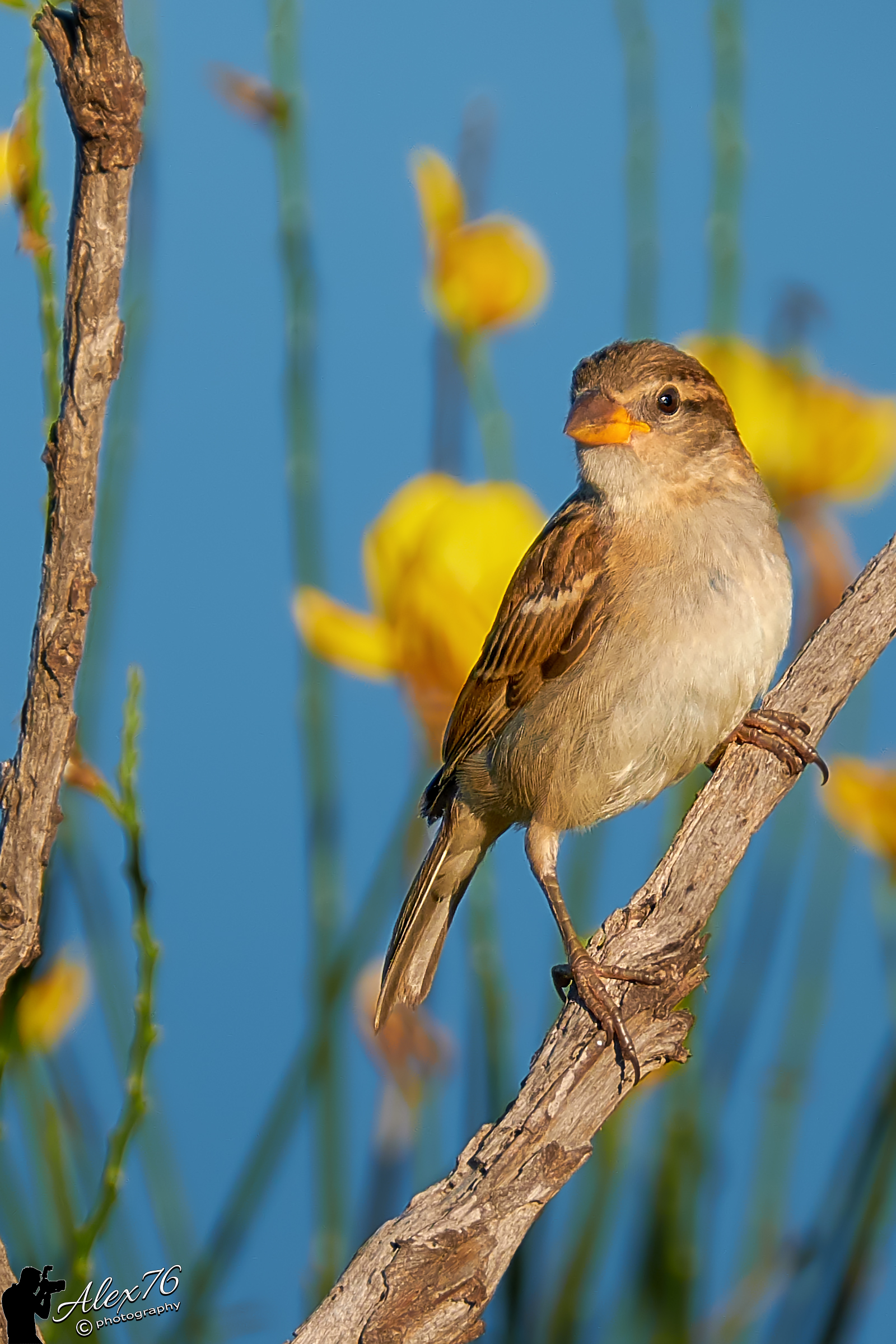 Riscaldarsi ai primi raggi di sole