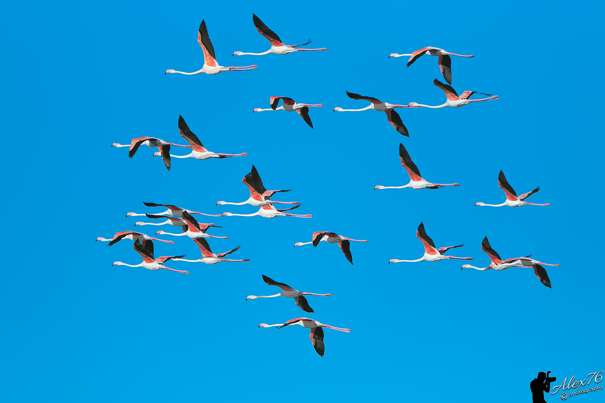 Sempre molto distanti...