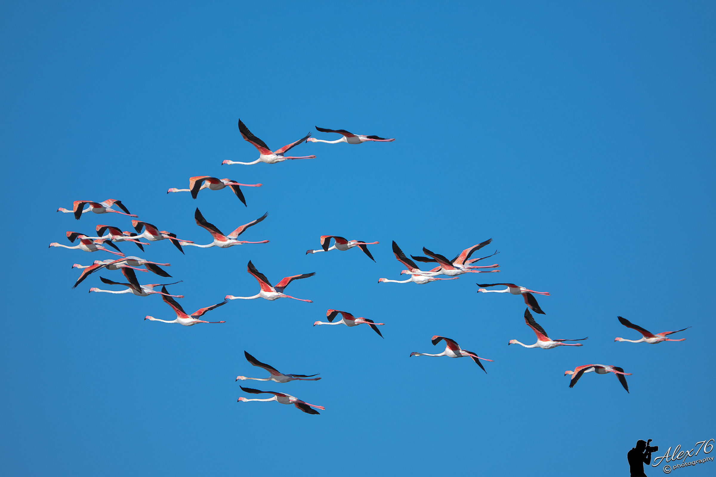 Tutti dietro di me...