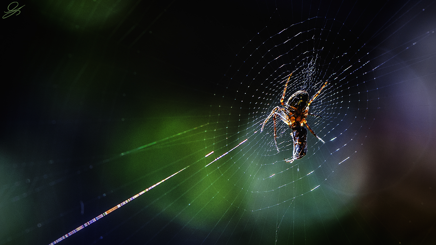 La colazione è servita