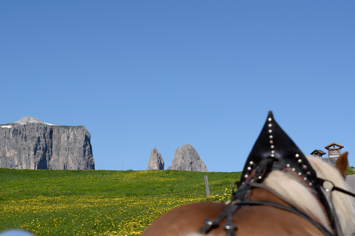 In a carriage on the ALP