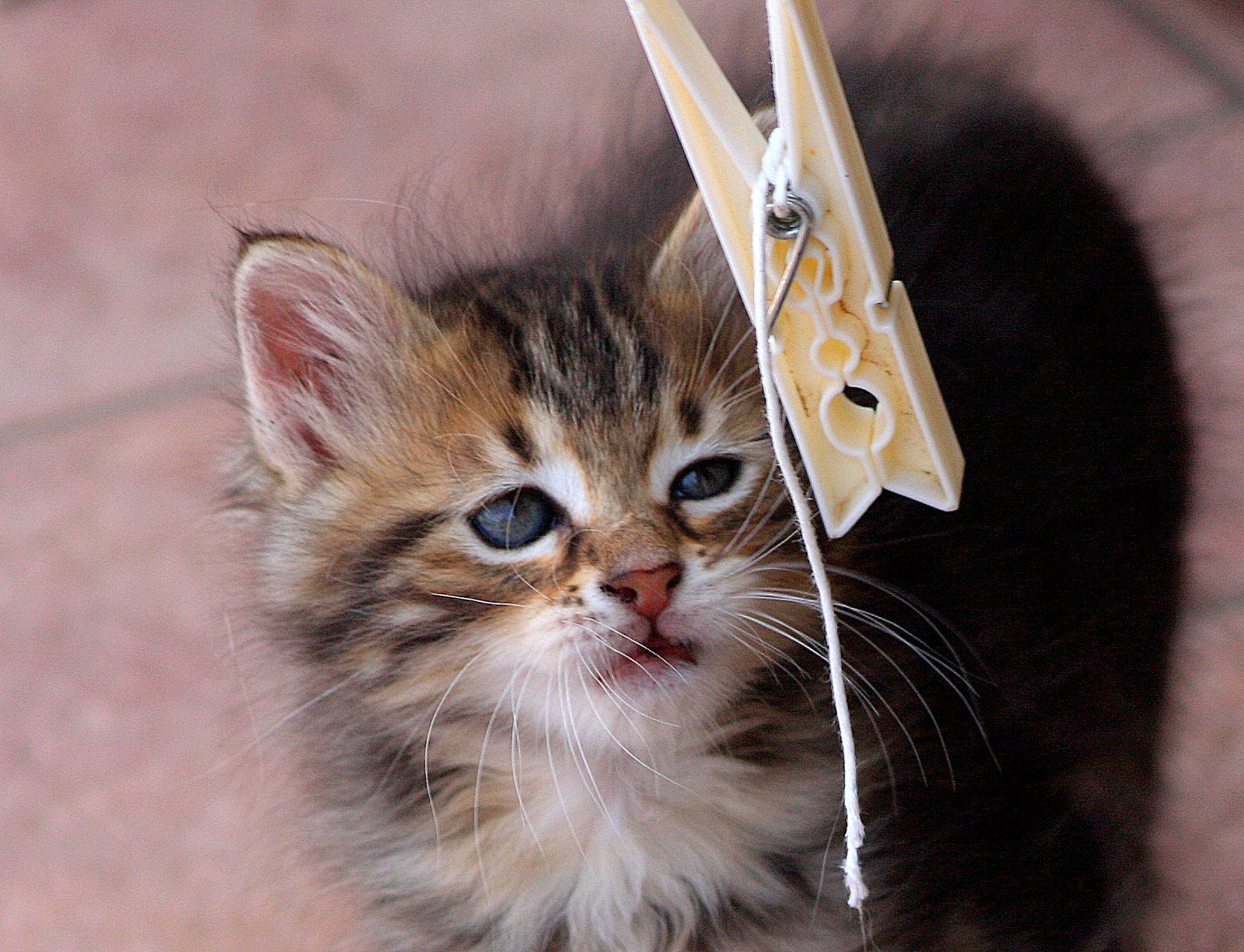 Suspicious game.....