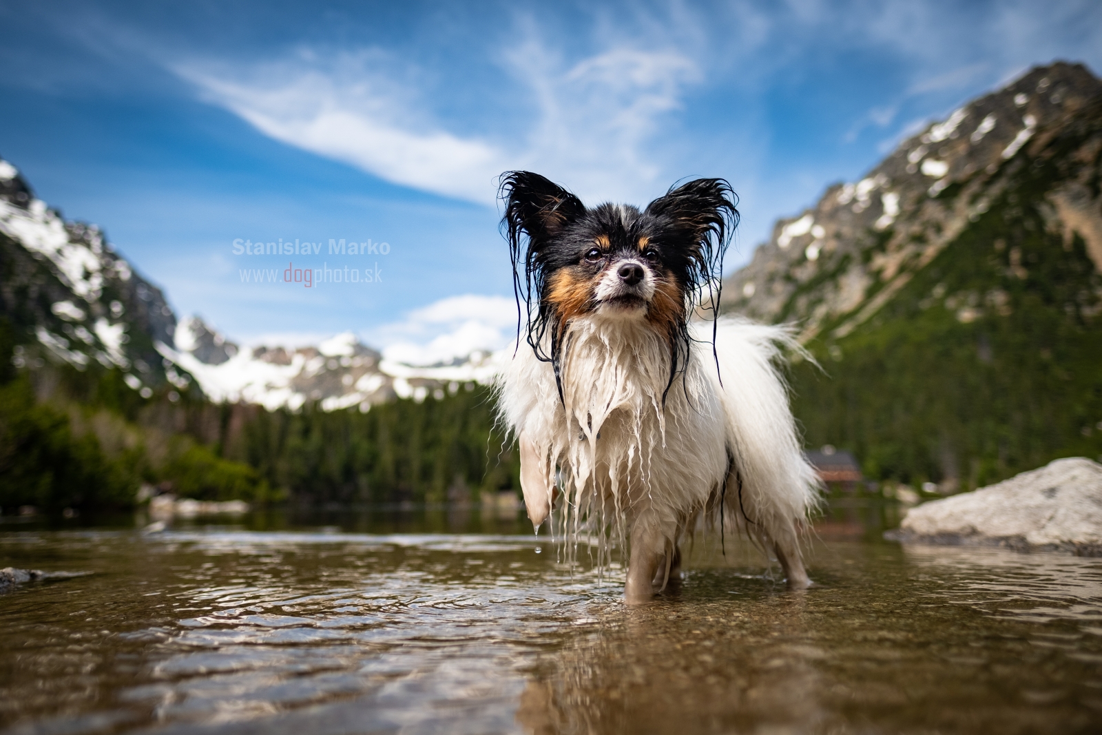 Raffreddamento estivo