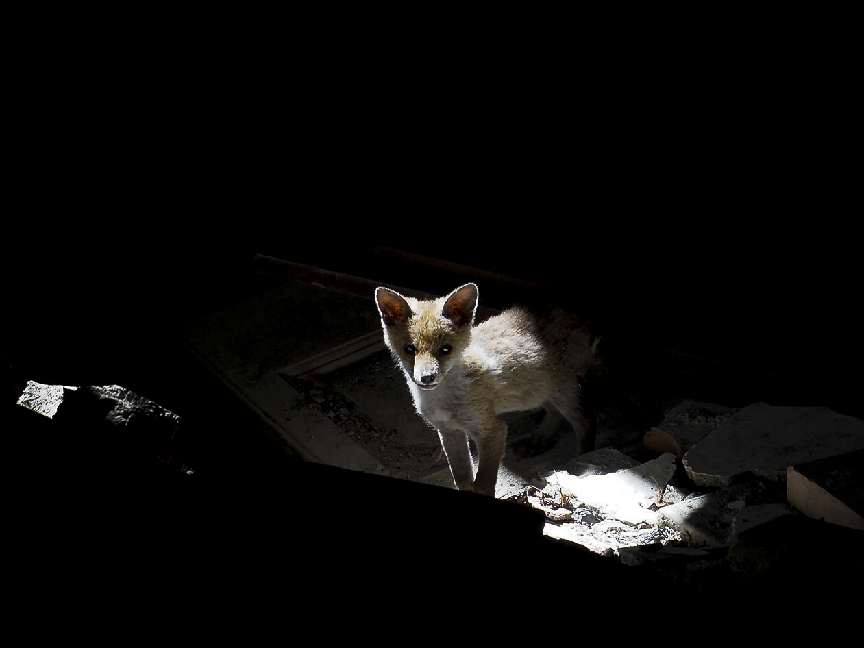 A tender surprise...