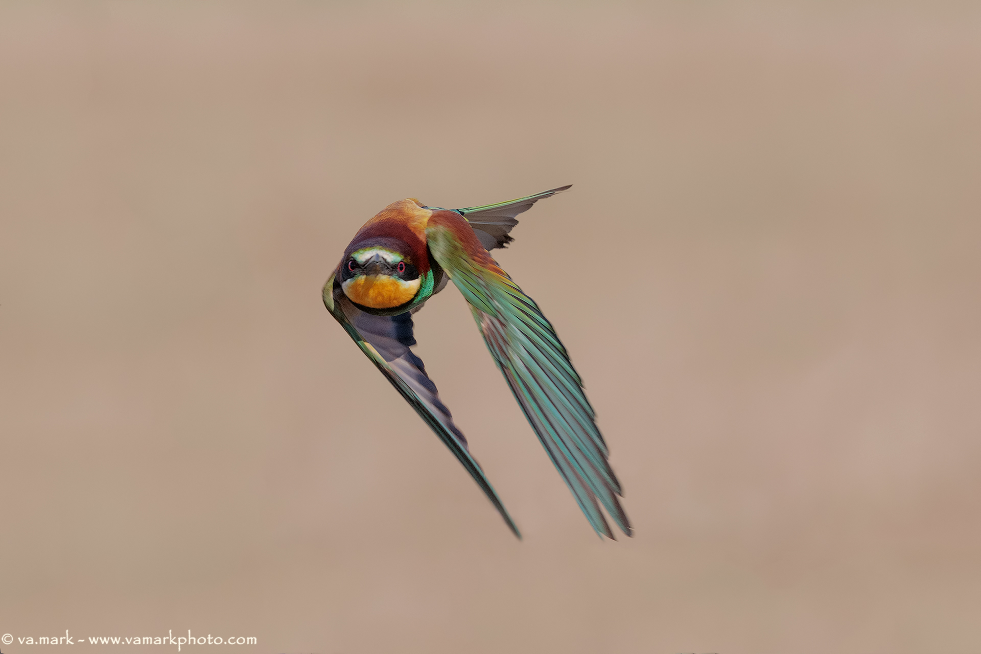 L'eleganza dell'energia....