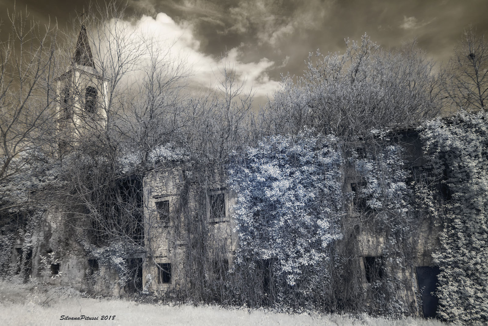 Distant time (infrared photo)