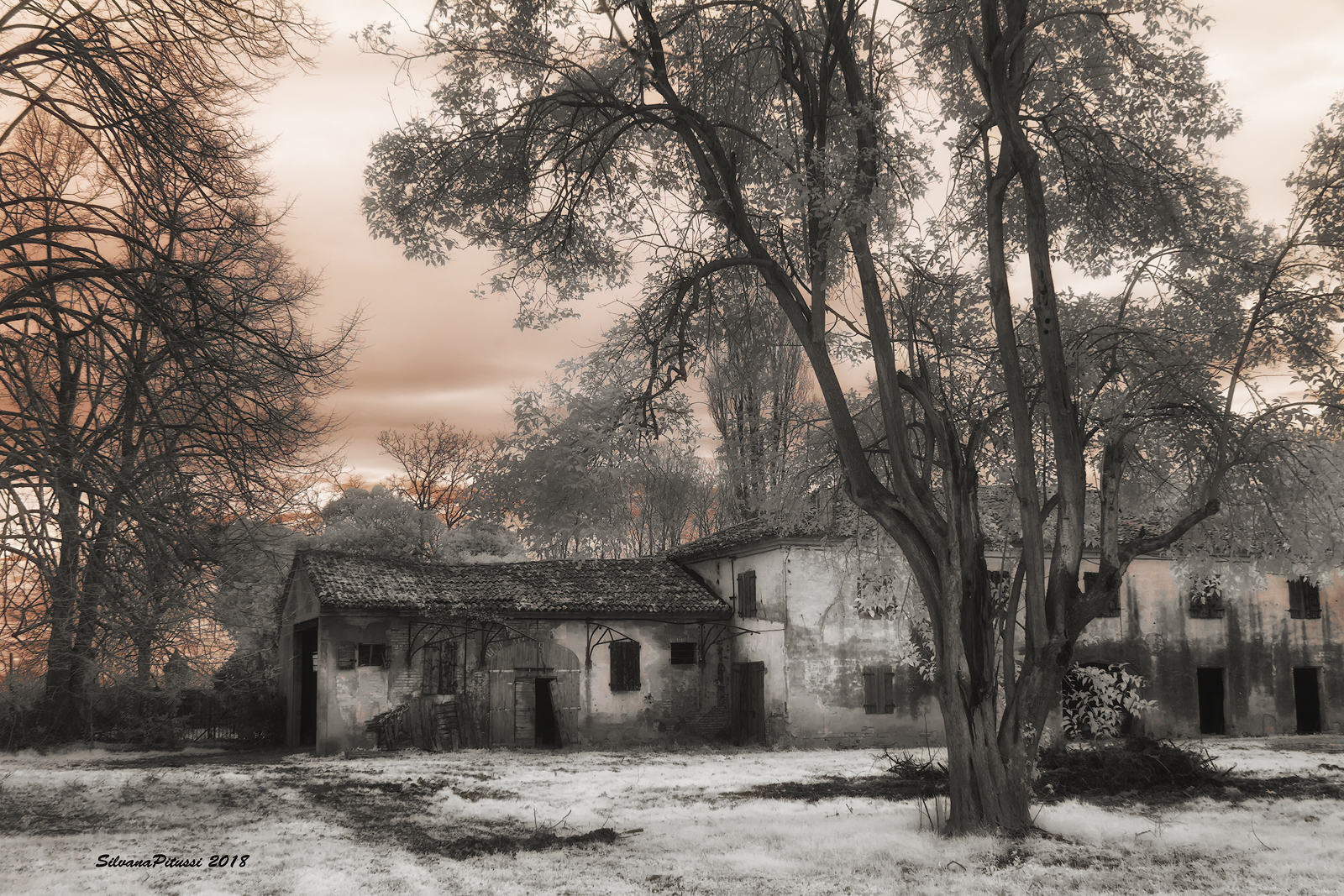 Distant time (infrared photo)