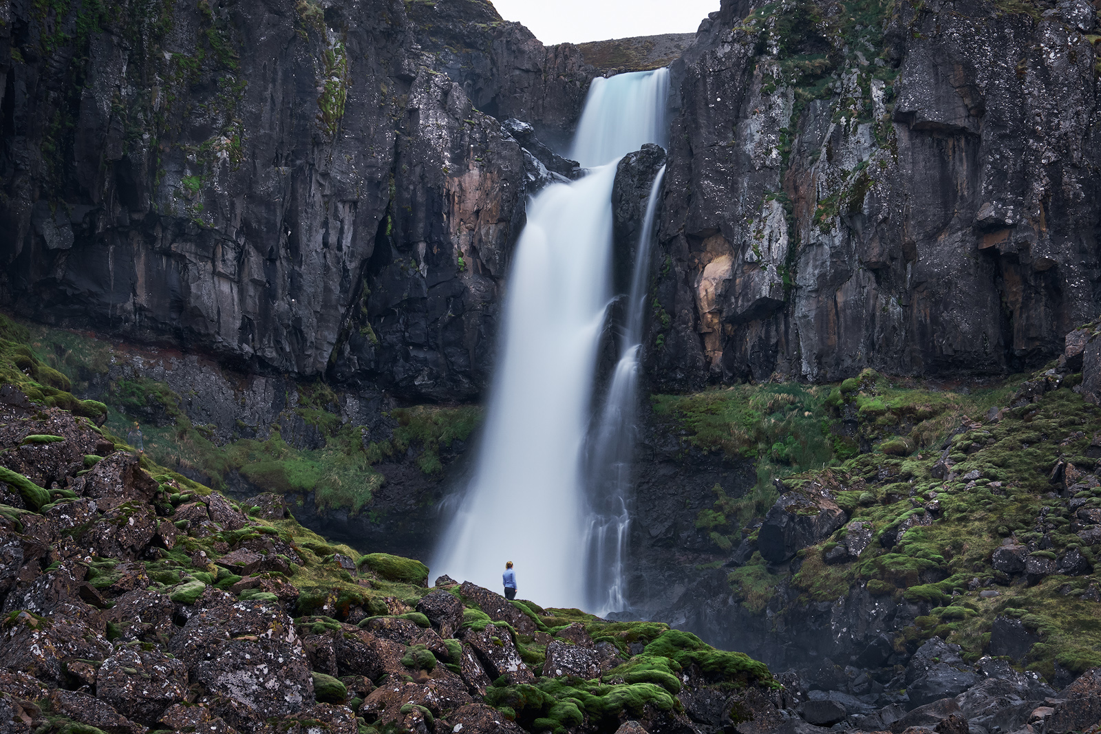 In the face of nature