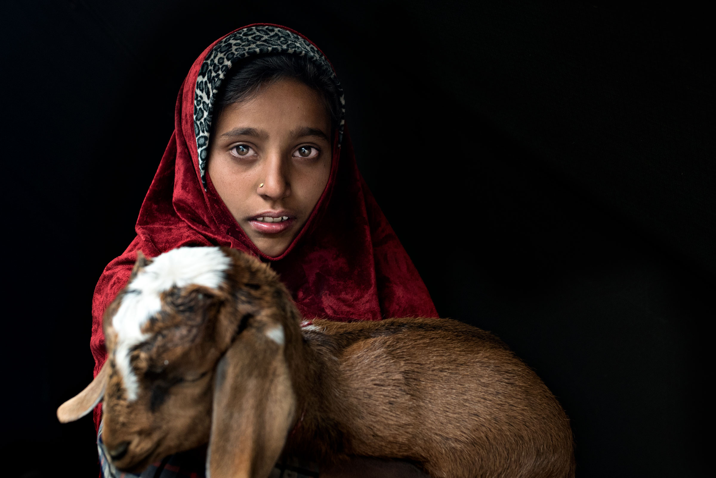 Pastori nomadi del kashmir