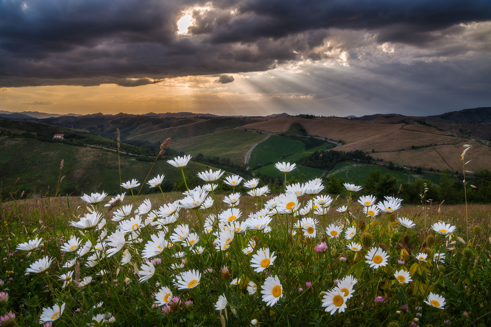 Primavera in collina