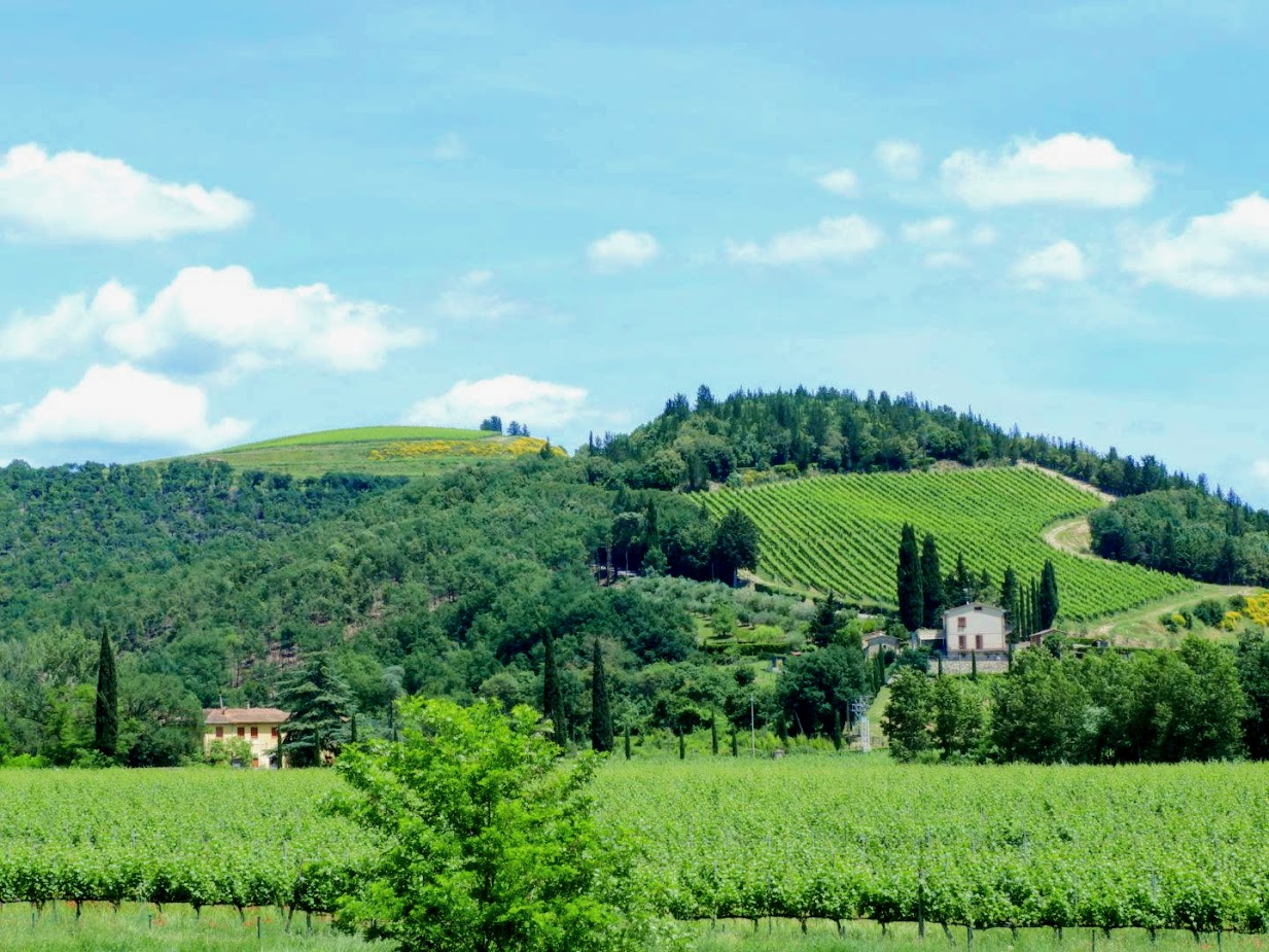 In the fields of Chianti Siena