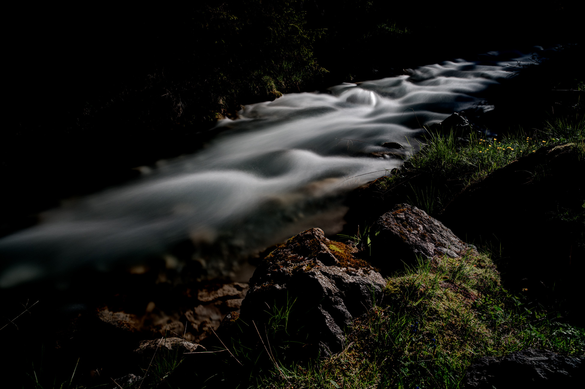 Brook... in the early morning