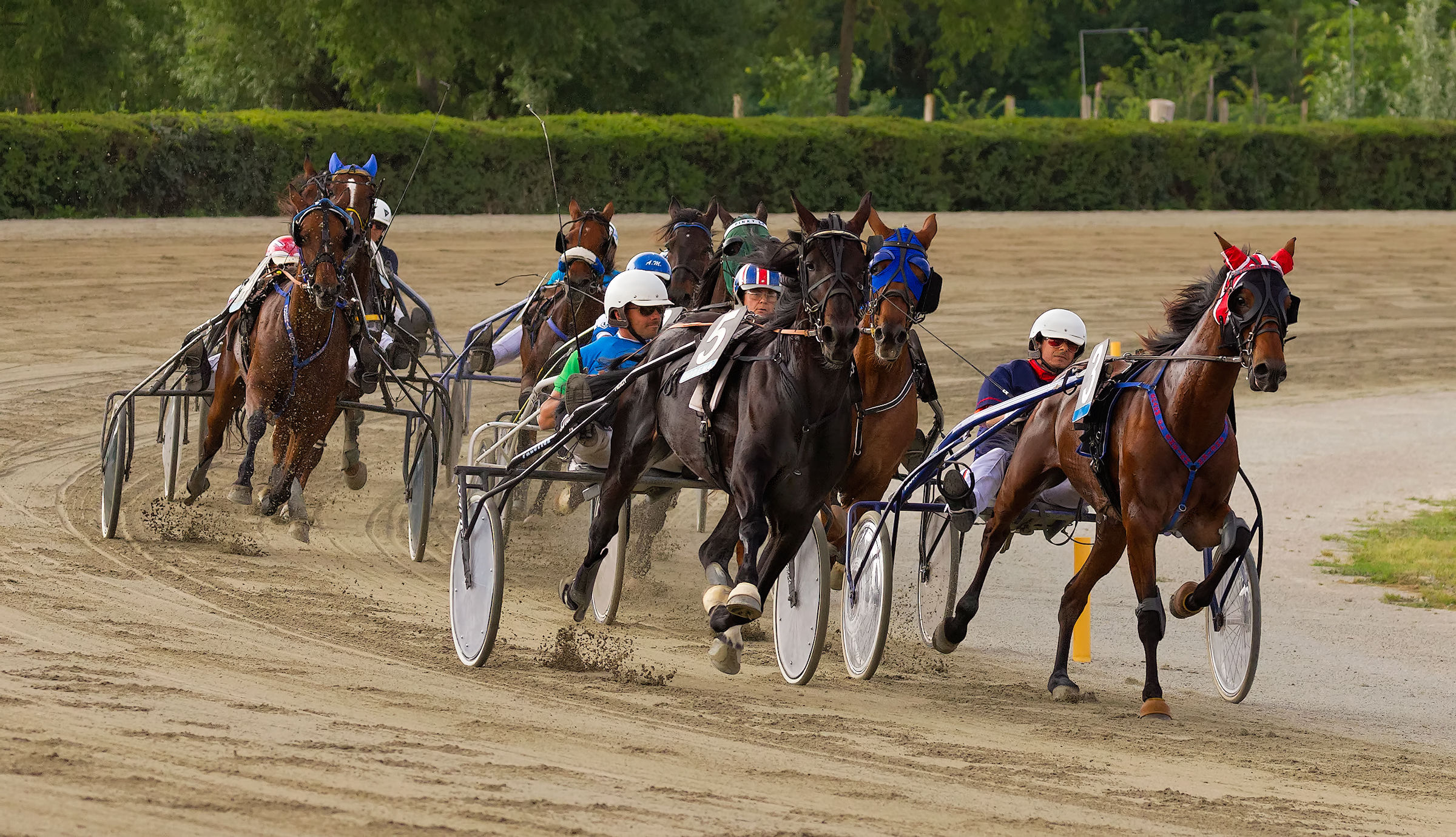 Un giorno alle corse