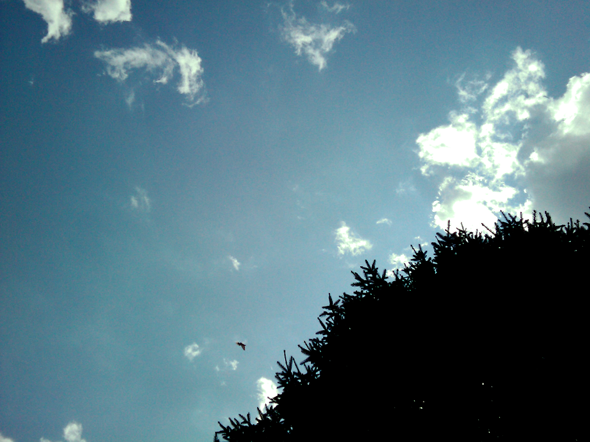 The Alchemy of Nature