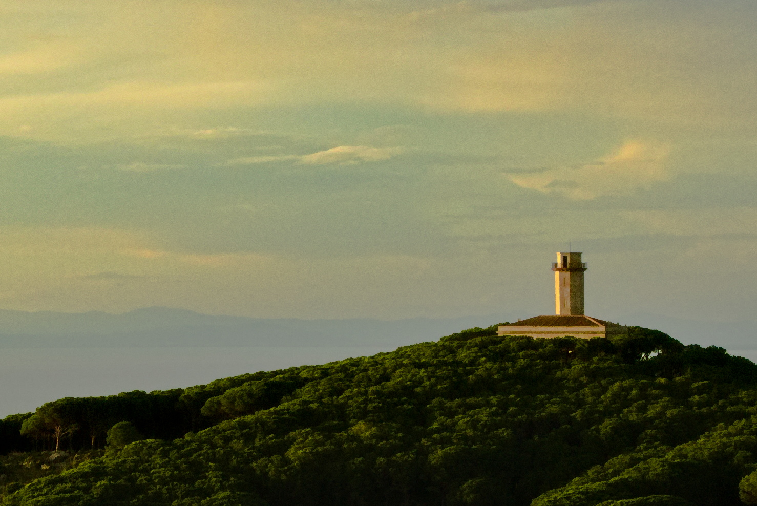 Giglio - faro punta fenaio