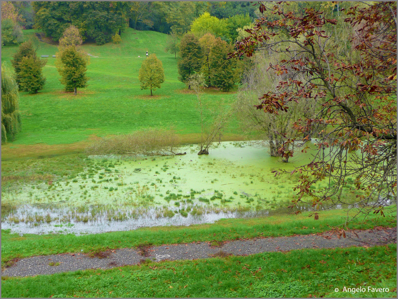 Milano - Parco Lambro