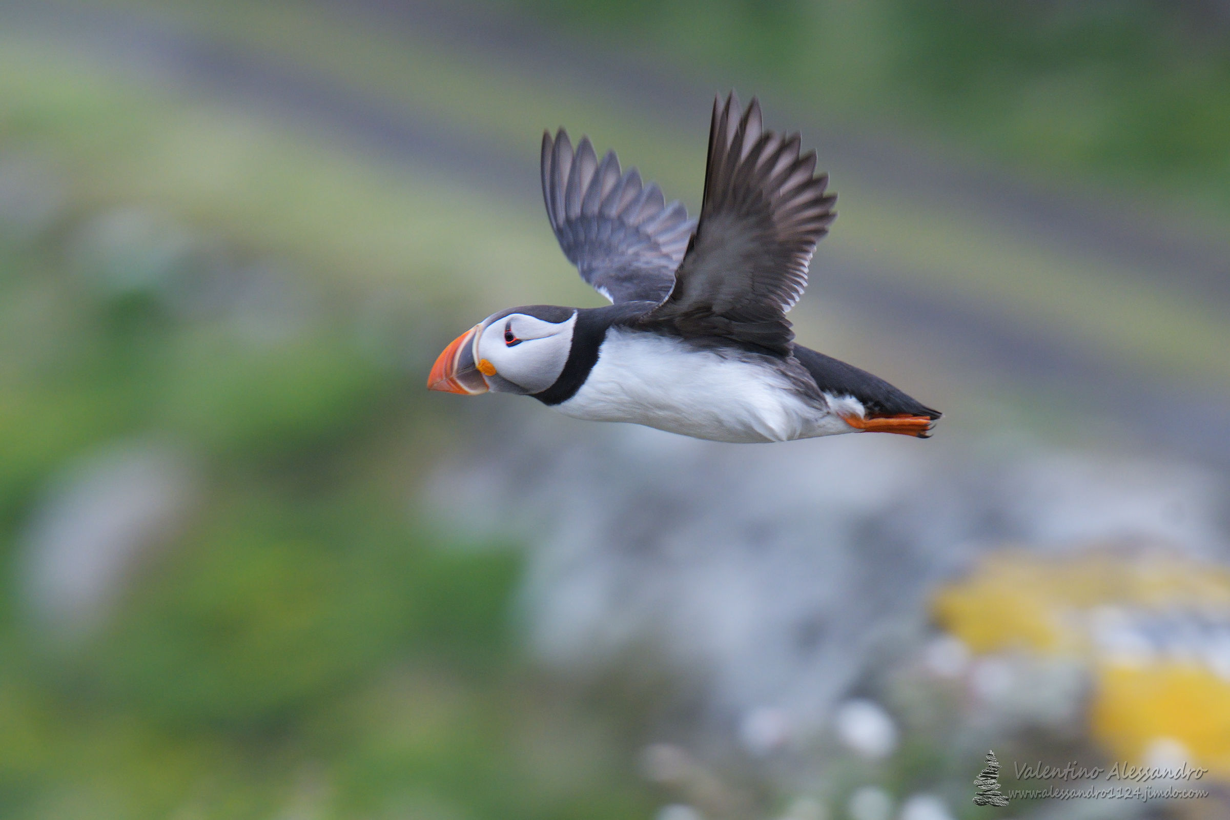 in volo sulla terra dei Puffi(ns)