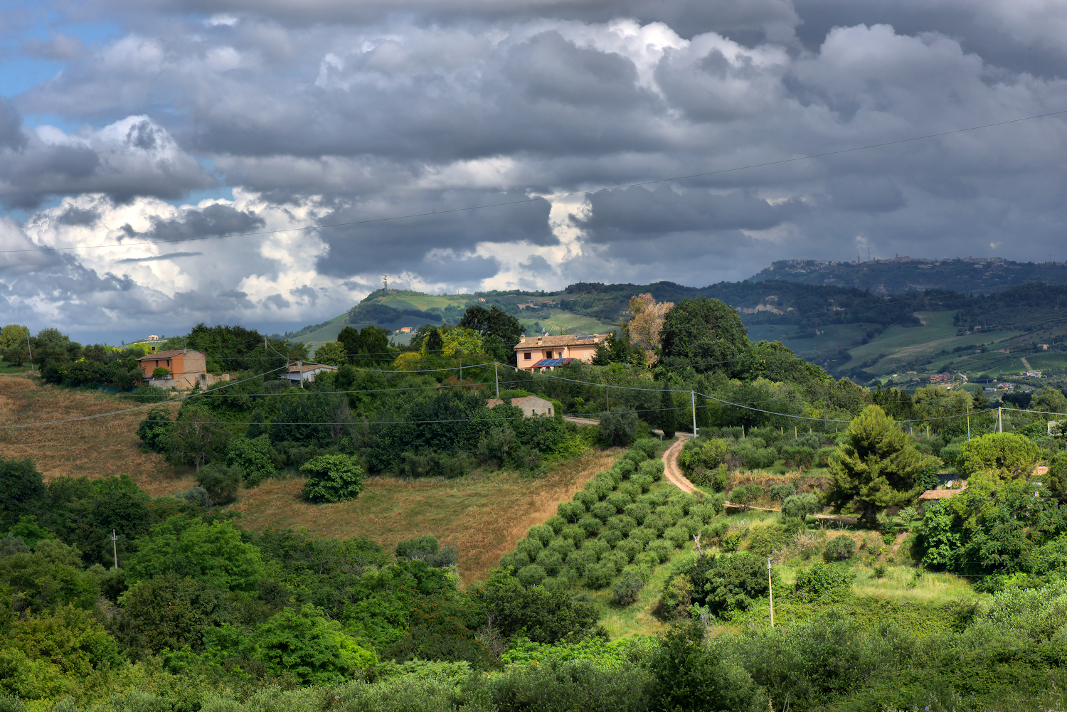 Hills of Marche