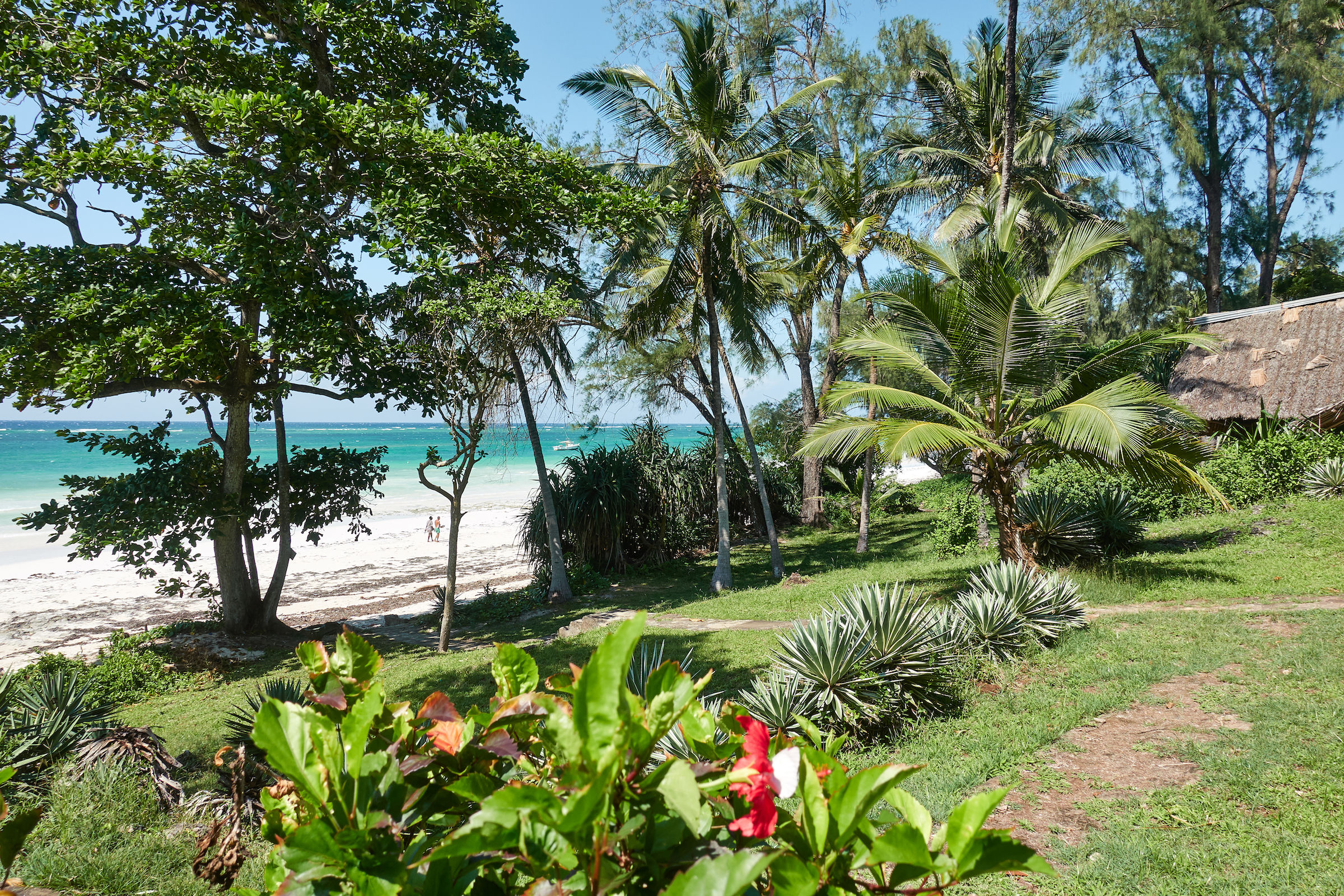 Diani beach
