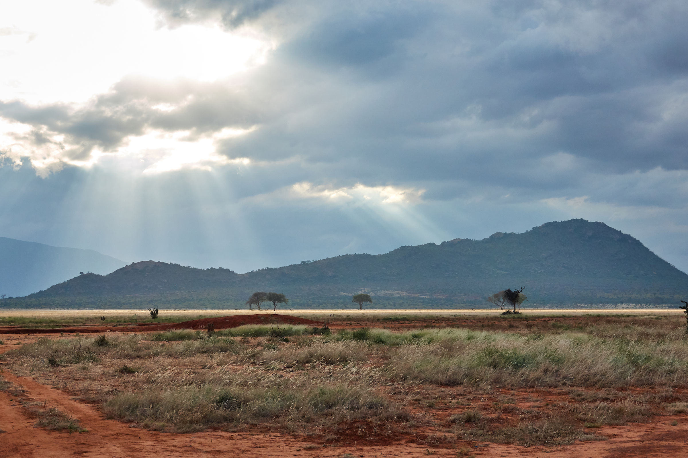 Tsavo National Park