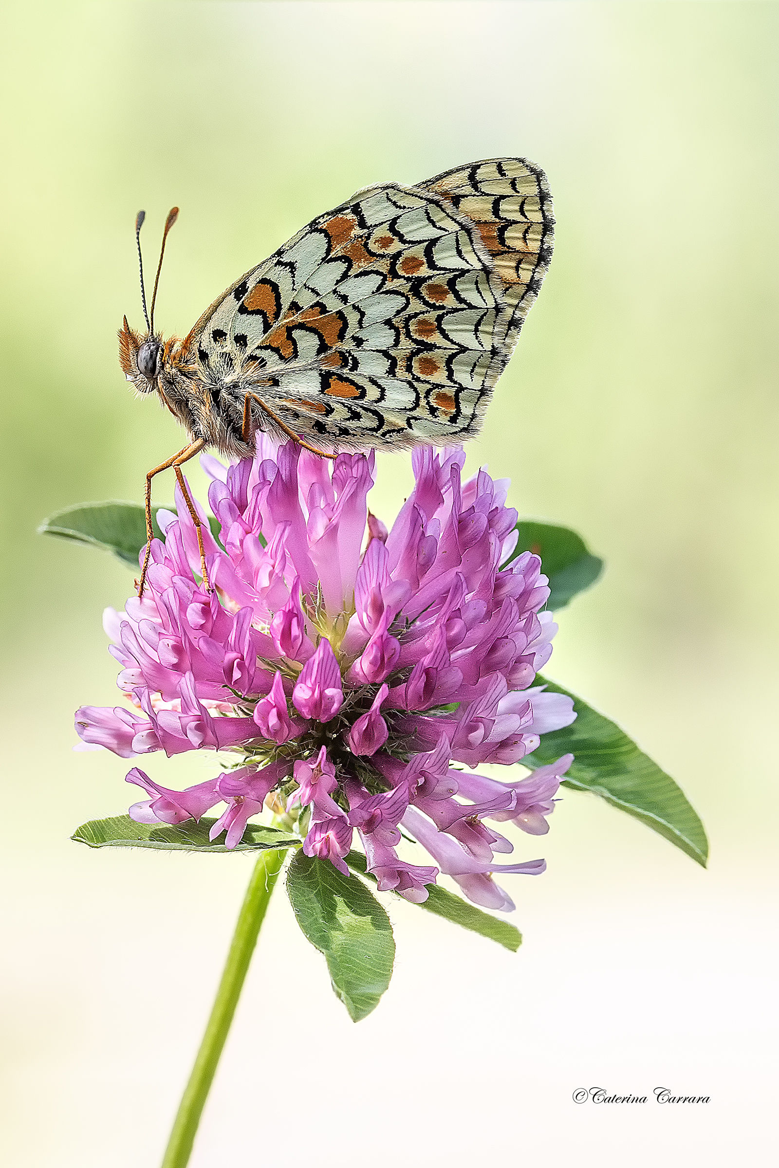 Now I'm going away 2