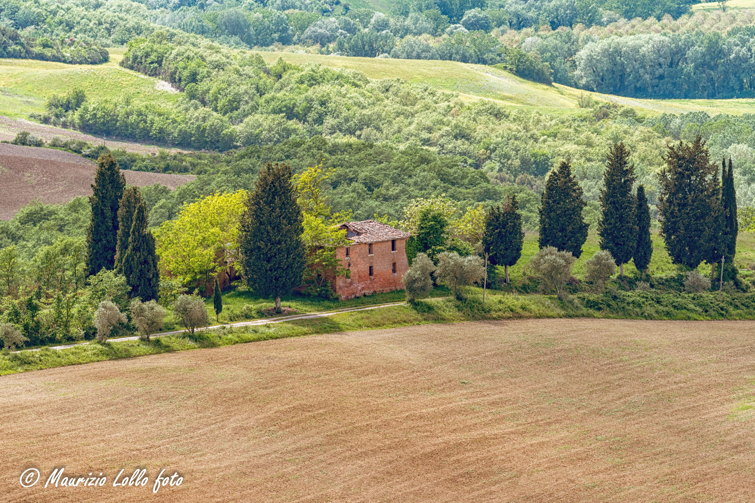 Casolare abbandonato