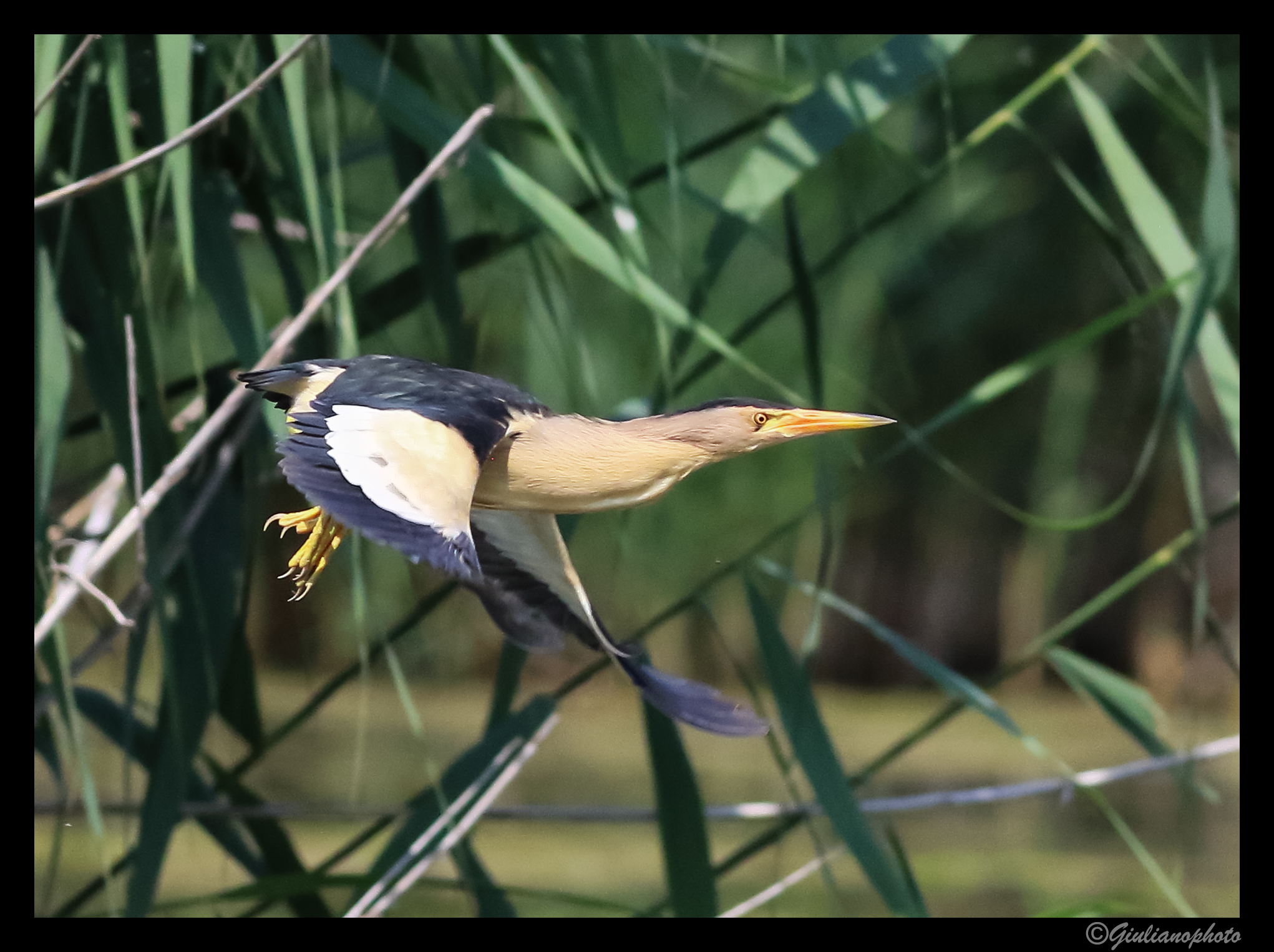 Ready... departure... viaaaa