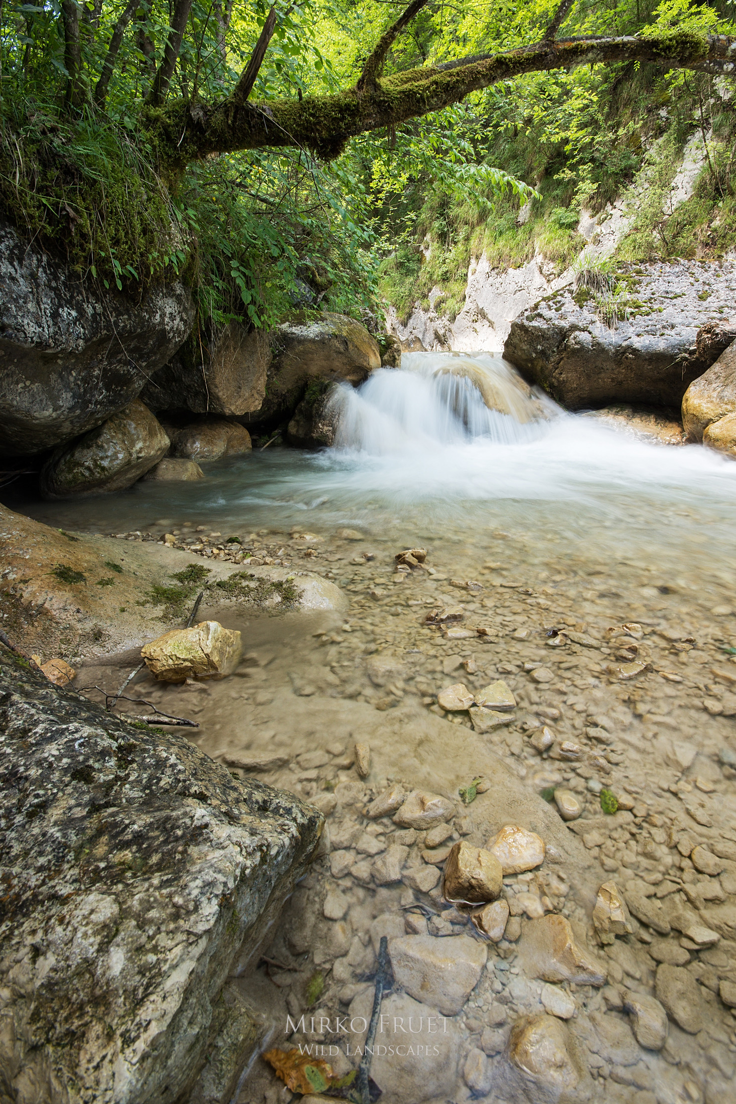 Bushel torrent (Val di Sella)