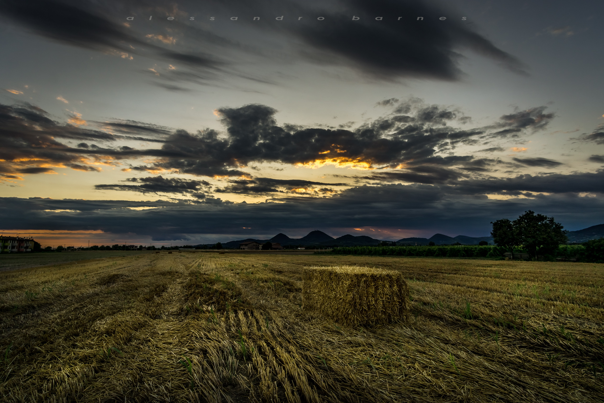 Campagna dei Colli Euganei