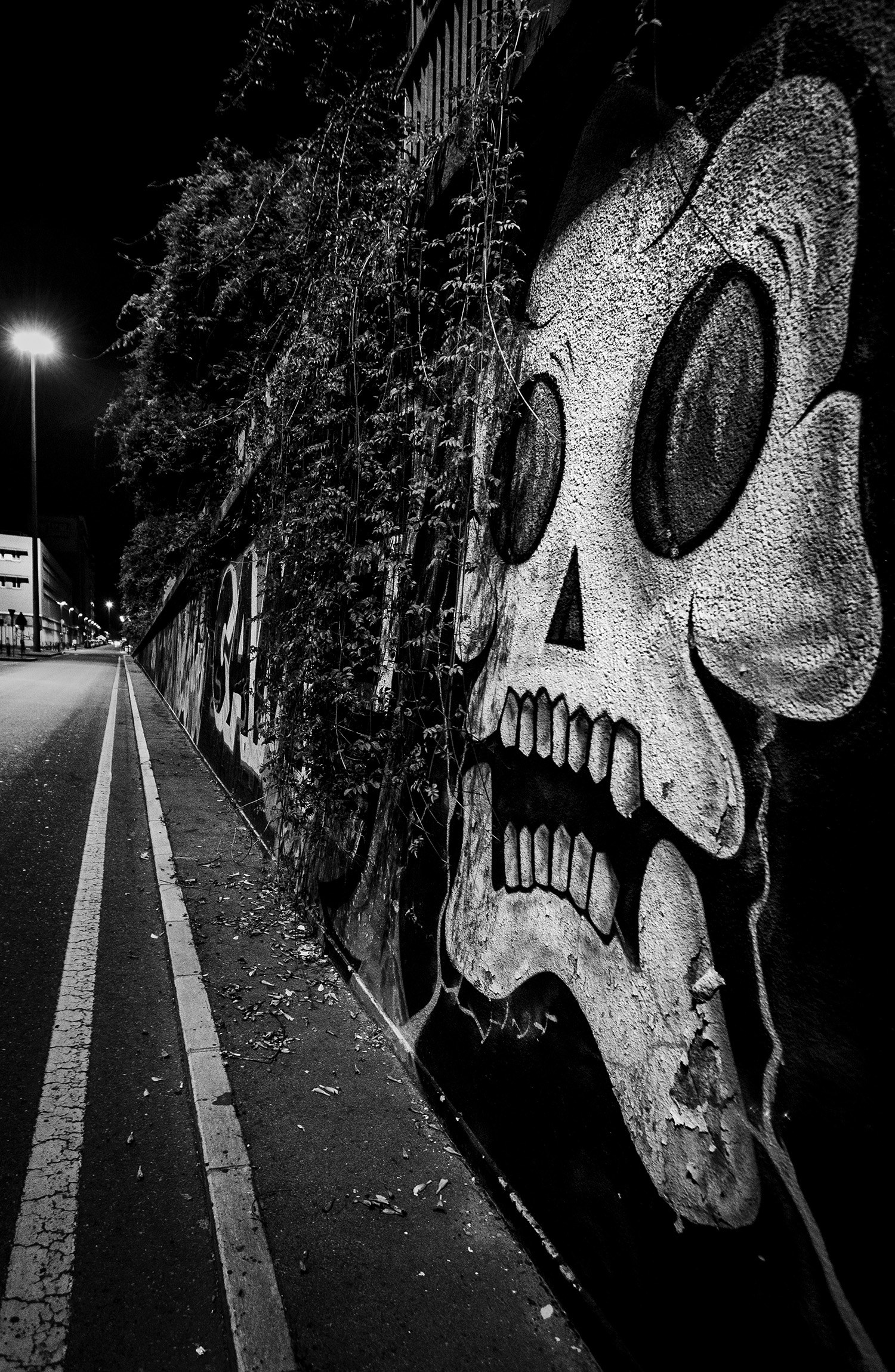 Notte