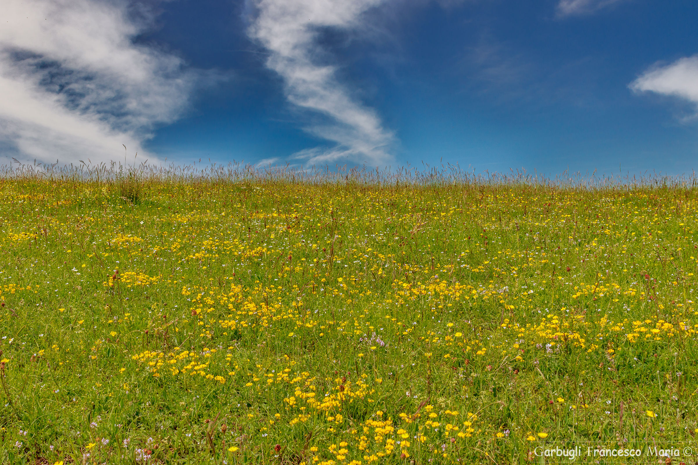 I colori della primavera.....
