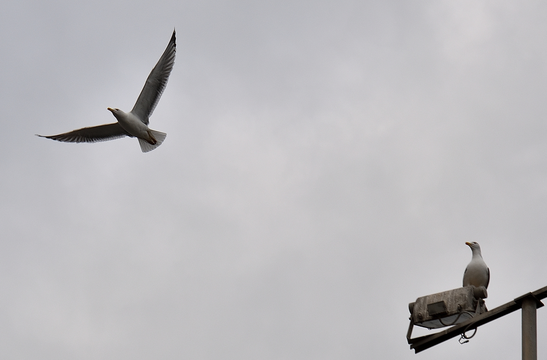 Waiting for his return