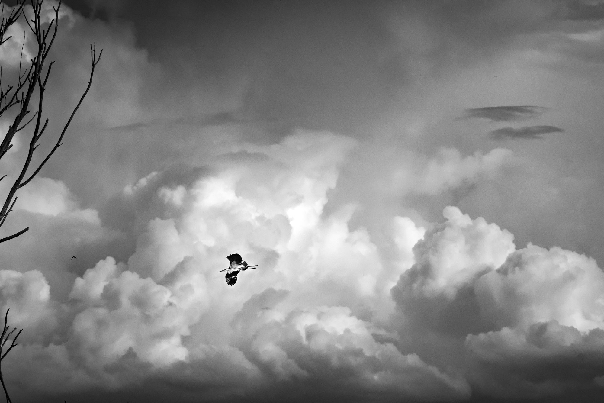 Cinerino ... molto ambientato