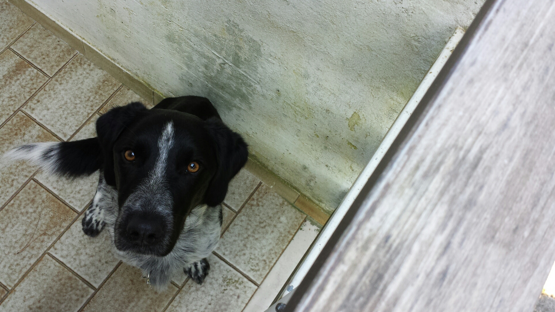 Jason between patterns