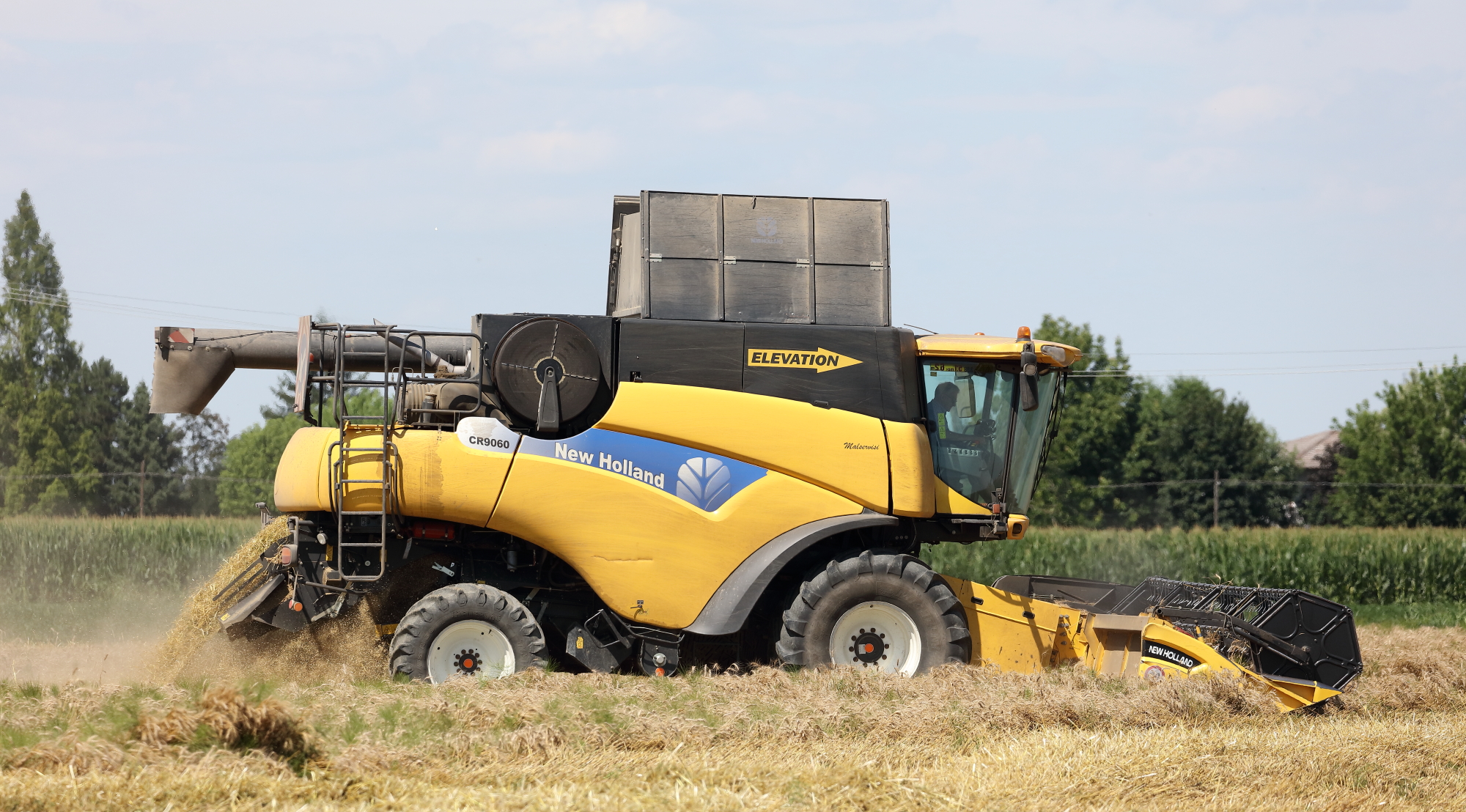 Mietitrebbiatura 2018.