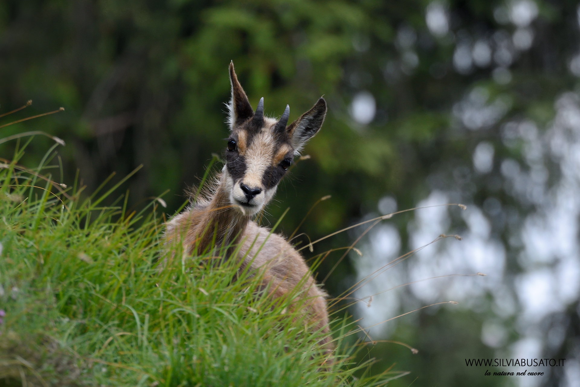 Someone's watching me...