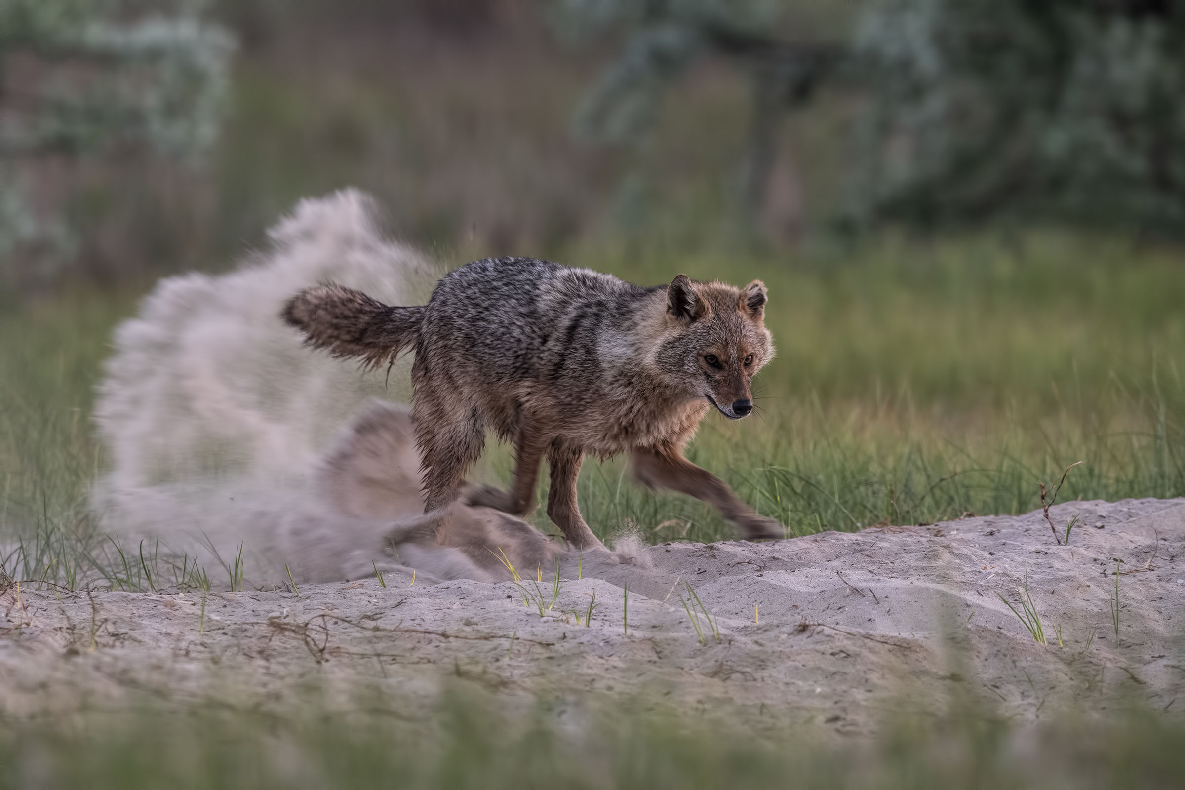 Spaventiamo gli intrusi