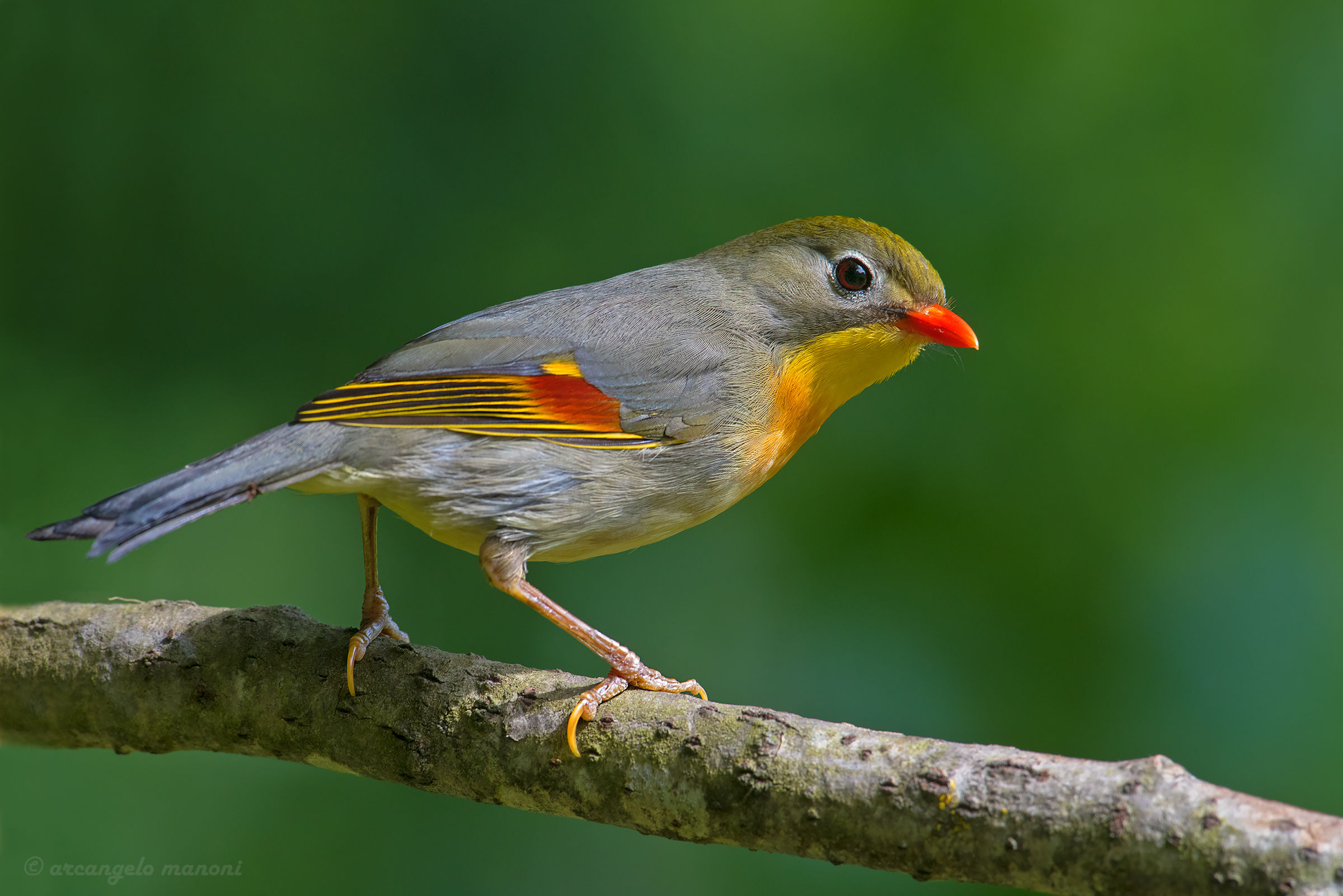 Finally caught on the clean