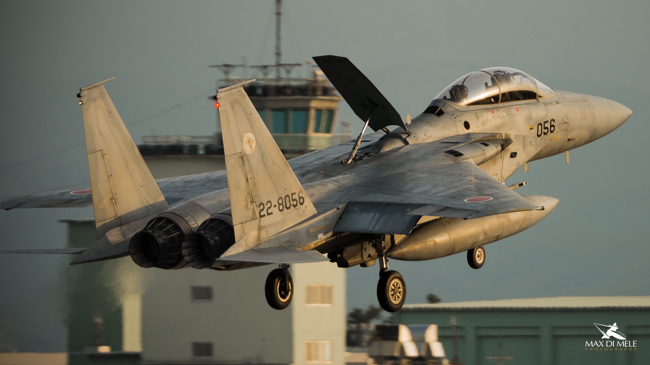 Japan Air Self Defense f-15j