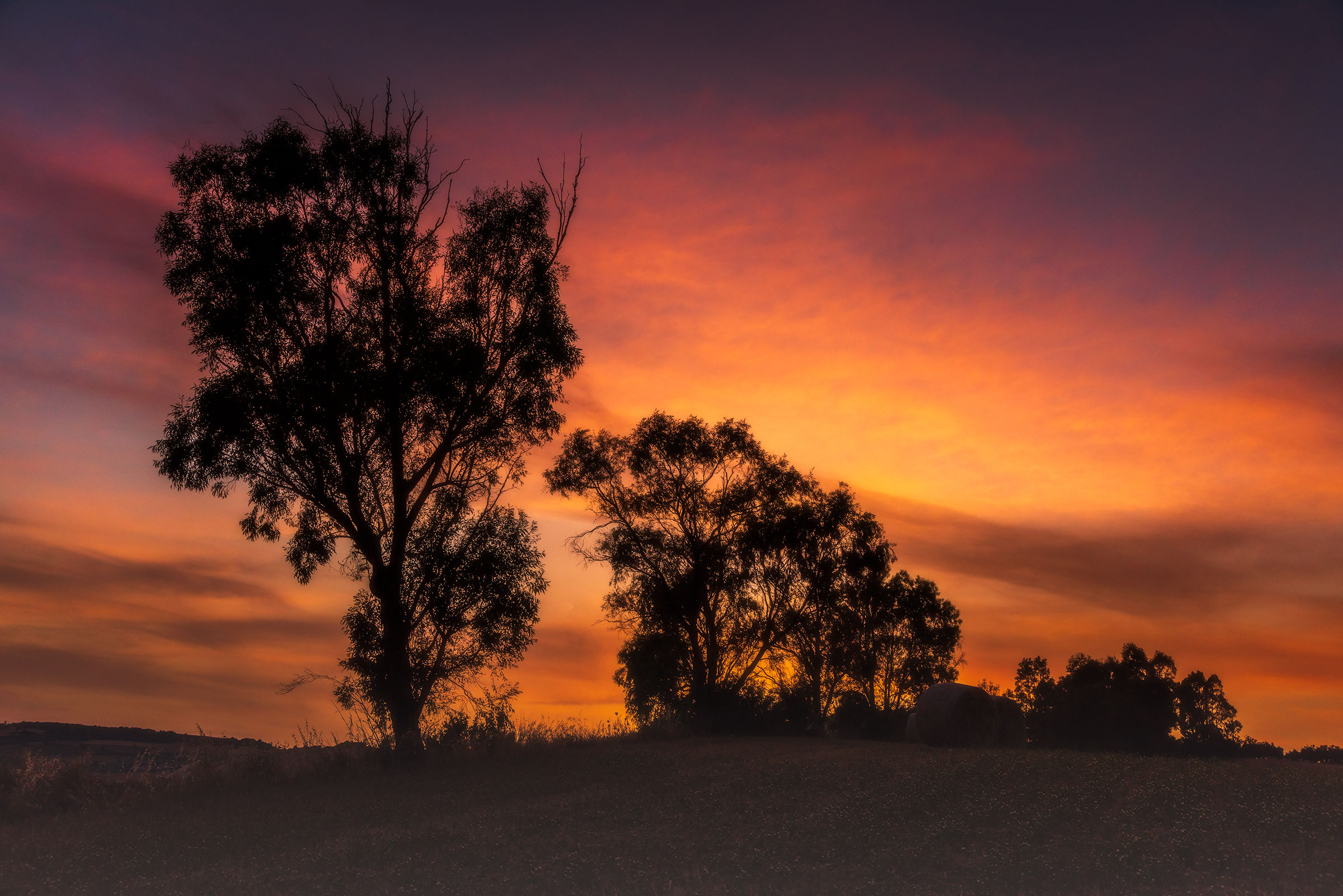 Il mattino ha l'oro in bocca