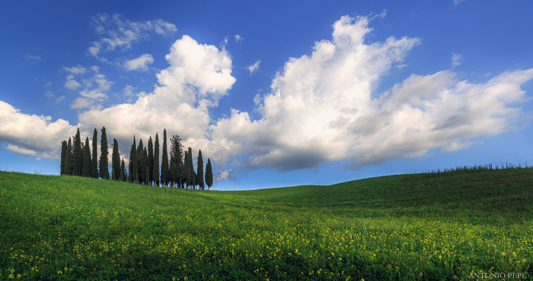 un classico ma sempre ben voluto