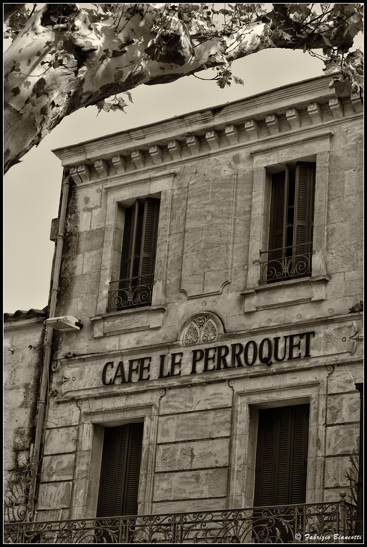 Café le Perroquet
