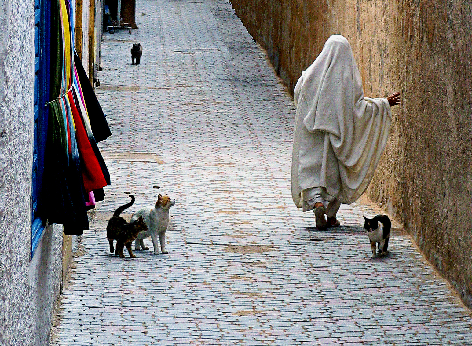 Elegant in the movements