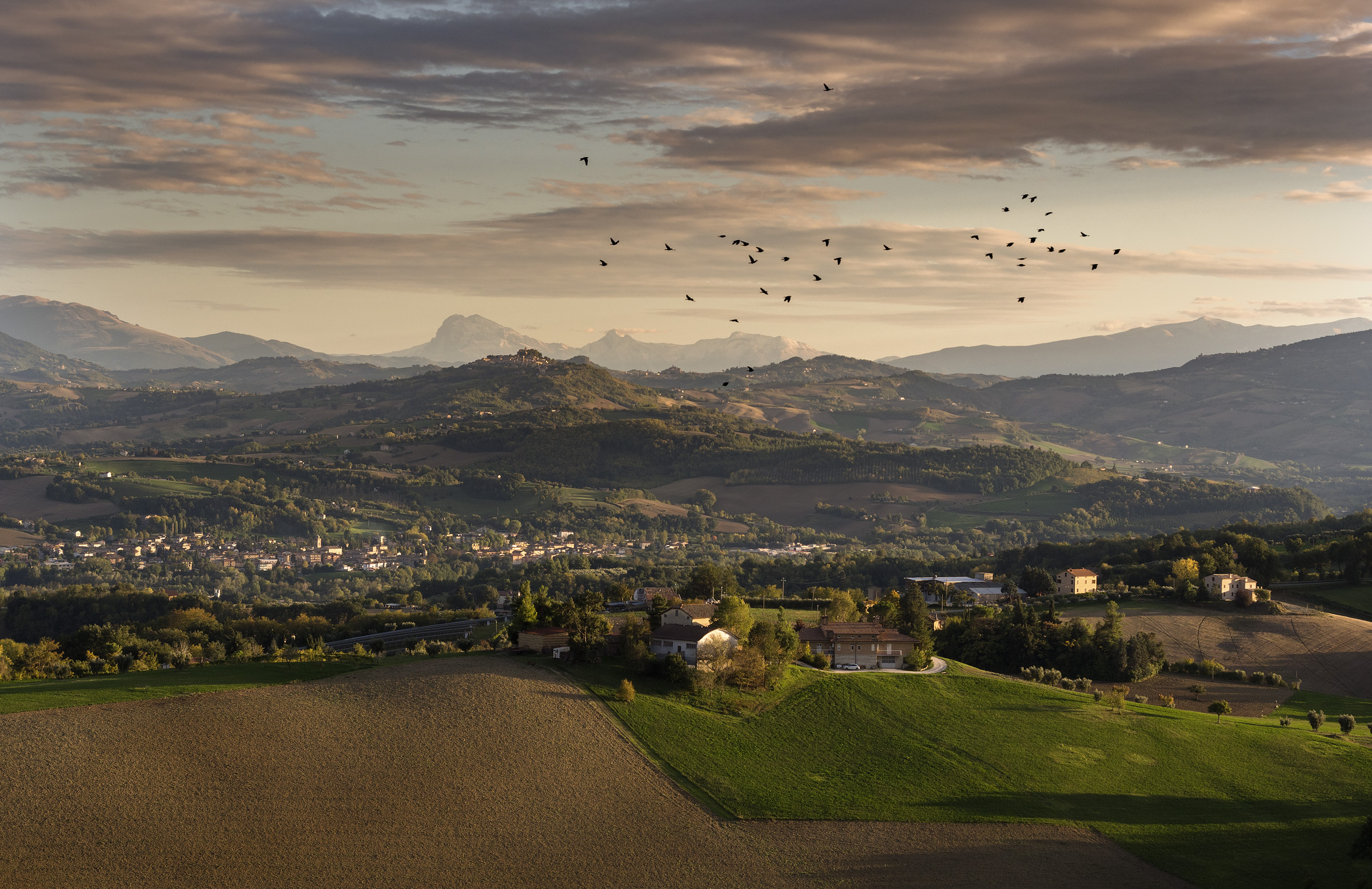 Paesaggio marchigiano al tramonto