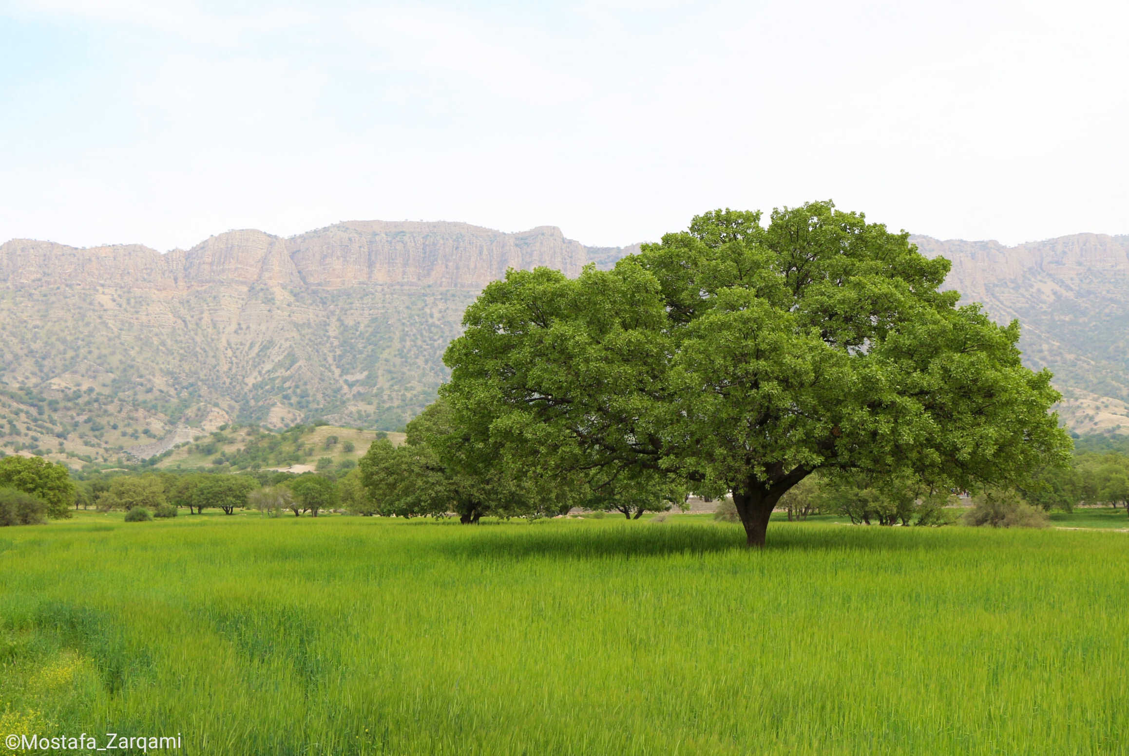 Iran, Fars, Noorabad