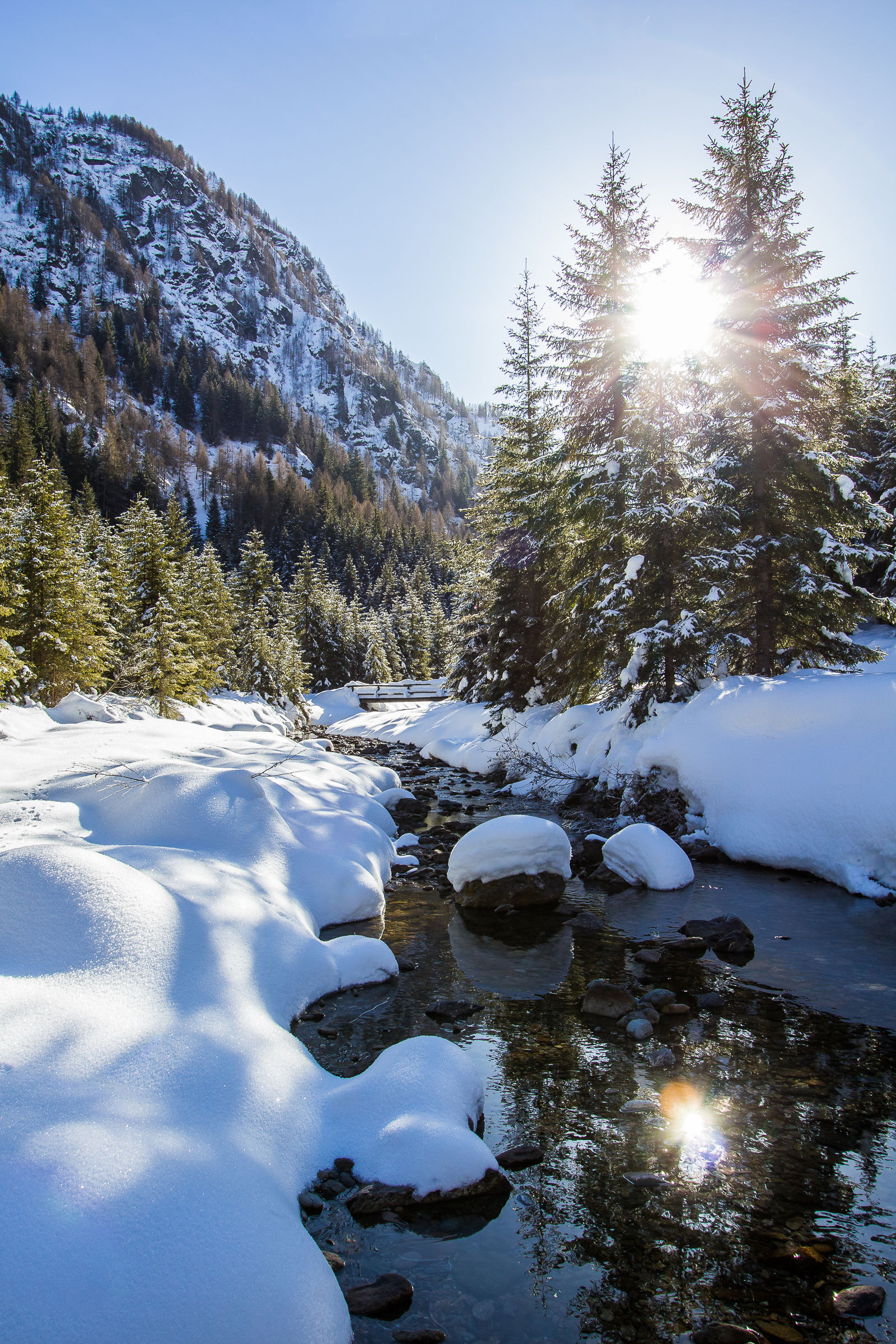 The Enchanted Landscape