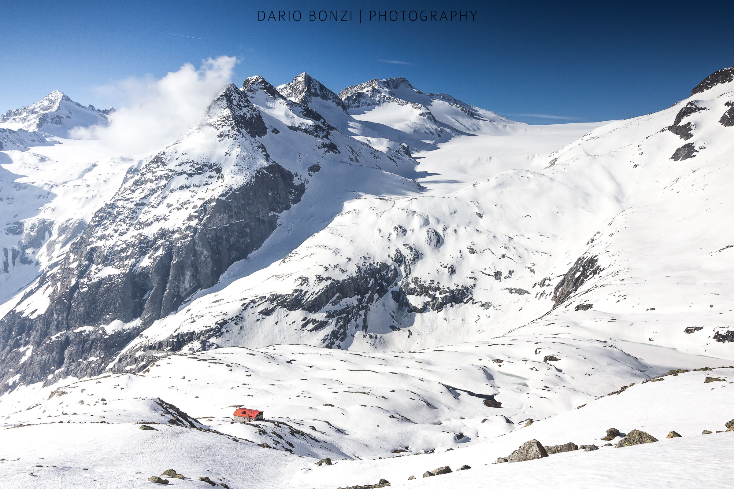 The Conch of the hall
