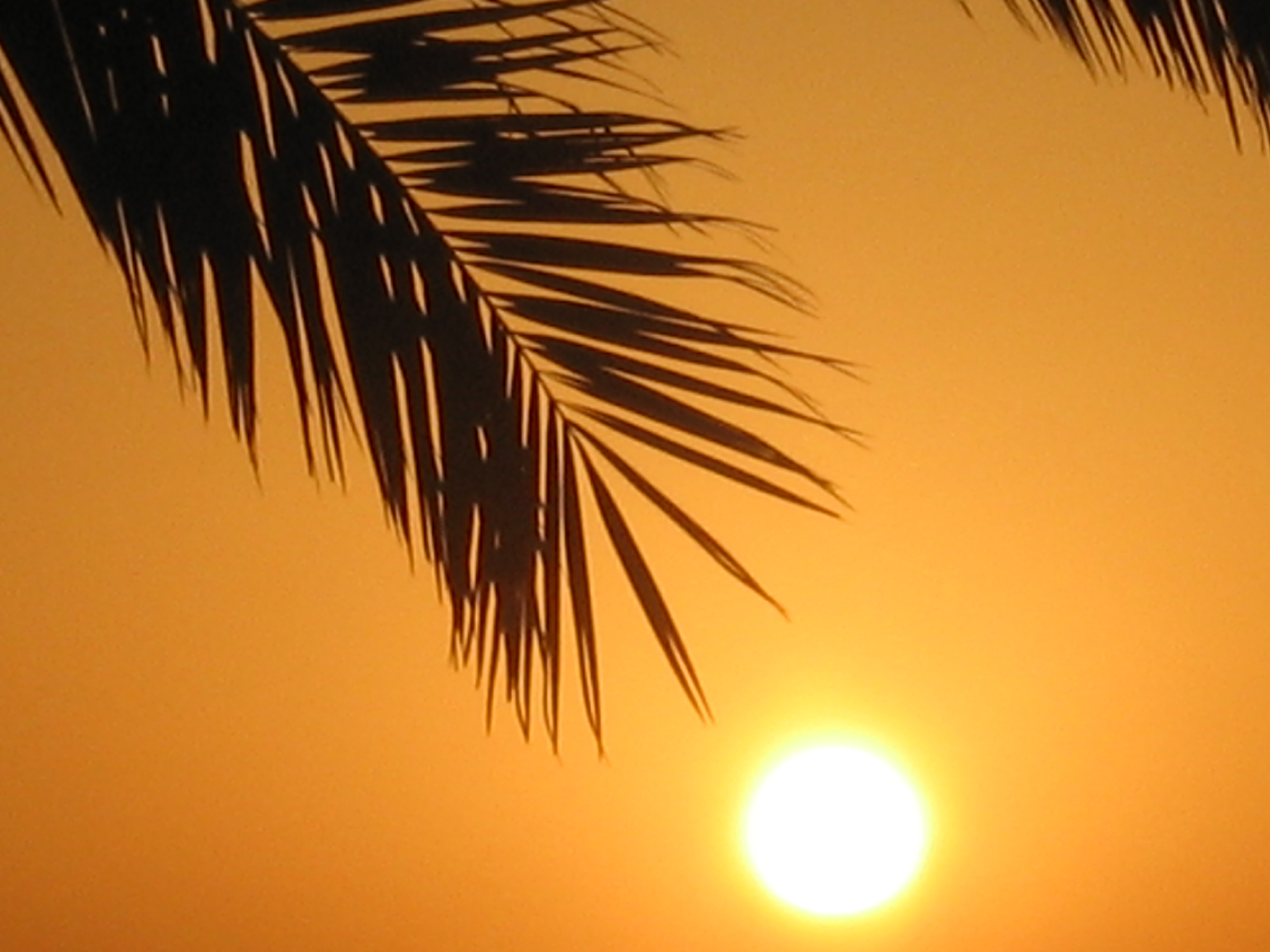 Sunset in Marsa Alam