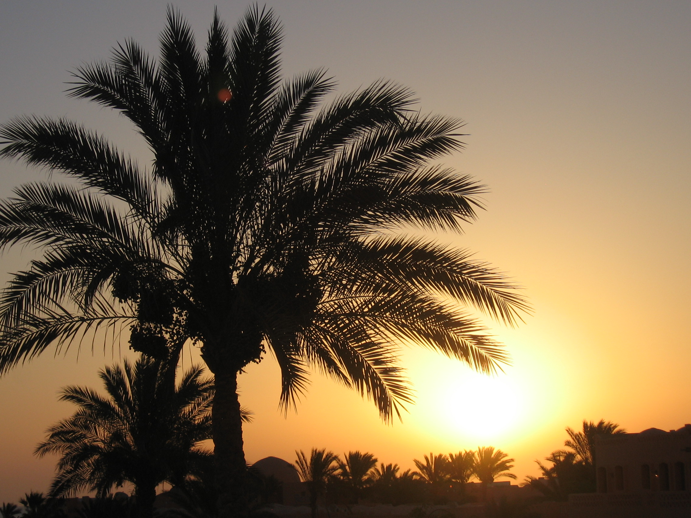 Tramonto a Marsa Alam